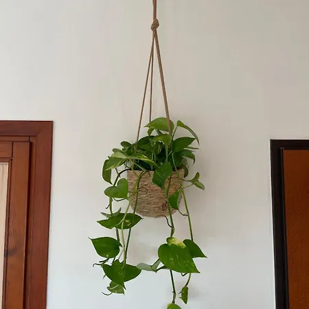 El Verano Апартаменты *