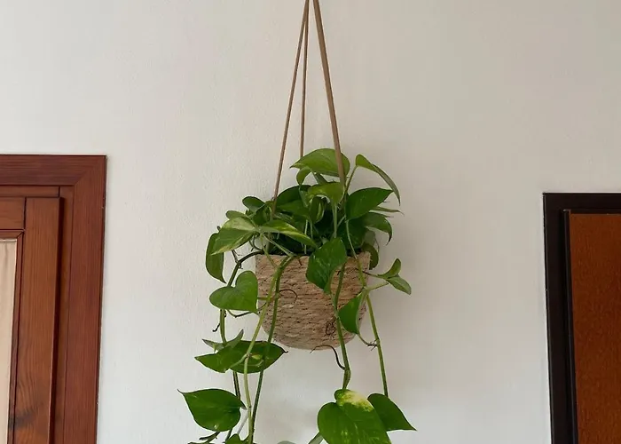 El Verano Appartamento *